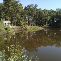 Турбаза Ласточка, Волна-Шепелиновка, Воронежская область