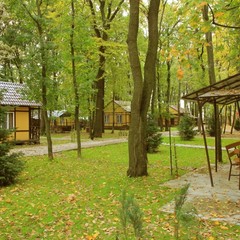 Турбаза Ласточка, Волна-Шепелиновка, Воронежская область