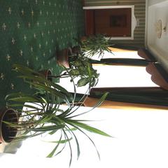 Отель Англитеръ, Вологда, Вологодская область