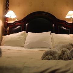 Отель Англитеръ, Вологда, Вологодская область