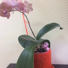 Гостиница Брусника, Вологда, Вологодская область