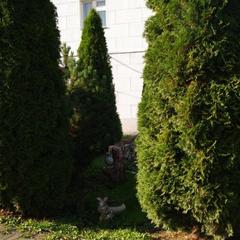 Гостиница Рубцово, Вологда, Вологодская область