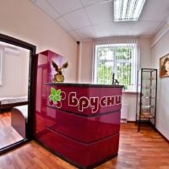 Гостиница Брусника, Вологда, Вологодская область