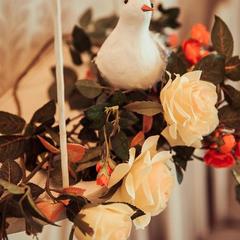 База отдыха Северное Сияние, Вологда, Вологодская область