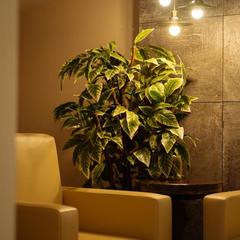 Мотель Вираж, Вологда, Вологодская область