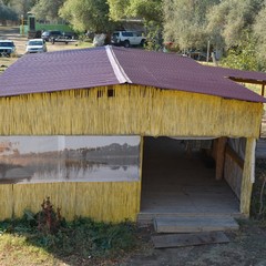 Рыболовная база Камышовый рай, Володарский, Астраханская область