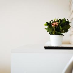 Мотель Вираж, Вологда, Вологодская область