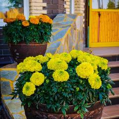 Гостиничный комплекс Линь, Вологда, Вологодская область