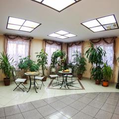 Гостиница Астерия, Воронеж, Воронежская область