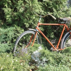 Гостиница O-HARA, Воронеж, Воронежская область