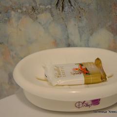 Отель Александра, Воронеж, Воронежская область