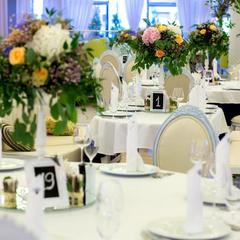 Отель Ветряков, Воронеж, Воронежская область