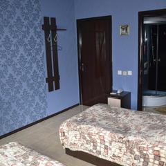 Отель Александра, Воронеж, Воронежская область