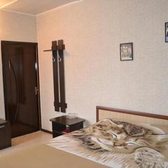 Отель Александра, Воронеж, Воронежская область