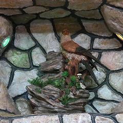 Гостиница Гостиный двор № 1, Воронеж, Воронежская область