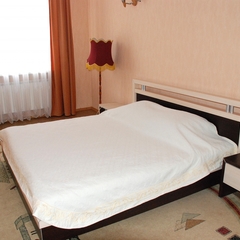 Гостиница Новая, Воронеж, Воронежская область