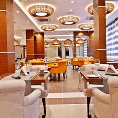 Гостиница Рамада Плаза Воронеж Сити Центр, Воронеж, Воронежская область