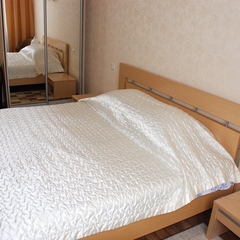 Гостиница Новая, Воронеж, Воронежская область