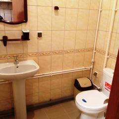 Гостиница На Донбасской, Воронеж, Воронежская область