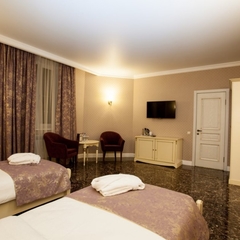 Отель Чапаев, Воронеж, Воронежская область