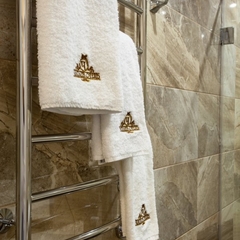 Отель Чапаев, Воронеж, Воронежская область