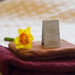 Гостиница На Донбасской, Воронеж, Воронежская область