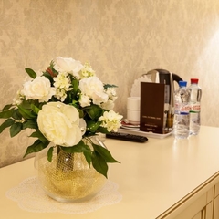 Отель Чапаев, Воронеж, Воронежская область