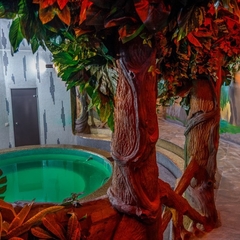 Отель Чапаев, Воронеж, Воронежская область