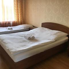 Гостиница Династия, Воронеж, Воронежская область