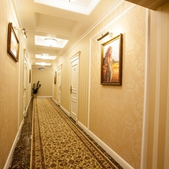 Отель Чапаев, Воронеж, Воронежская область