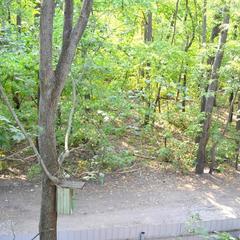 Гостиница ССК, Воронеж, Воронежская область