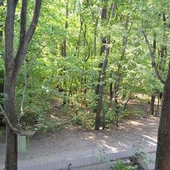 Гостиница ССК, Воронеж, Воронежская область