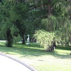 Санаторий Вороново, Москва, Московская область