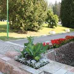 Санаторий Вороново, Москва, Московская область