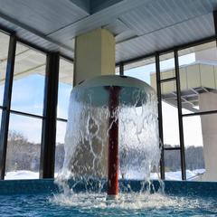 Санаторий Вороново, Москва, Московская область