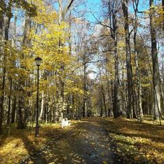 Санаторий Вороново, Москва, Московская область