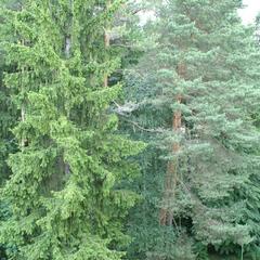 Санаторий Вороново, Москва, Московская область