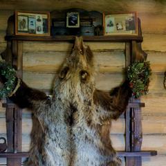 Гостевой дом Медведь, Ворсма, Нижегородская область