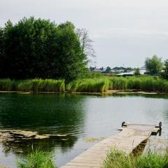 Гостевой дом Медведь, Ворсма, Нижегородская область