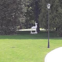 Санаторий Вороново, Москва, Московская область