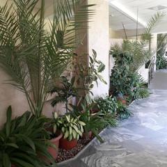 Санаторий Вороново, Москва, Московская область