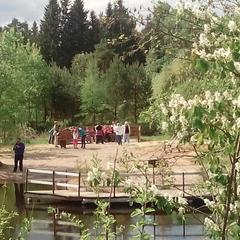 Оздоровительный комплекс Крестьянская усадьба Рутения, Всеволожск, Ленинградская область