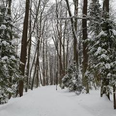 Санаторий Вороново, Москва, Московская область