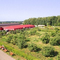 Спортивная база отдыха Княжьи Дали, Всходы, Московская область