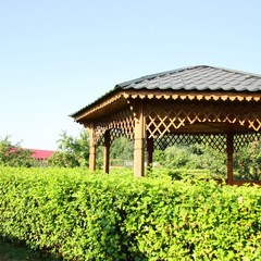 Спортивная база отдыха Княжьи Дали, Всходы, Московская область