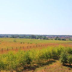 Спортивная база отдыха Княжьи Дали, Всходы, Московская область
