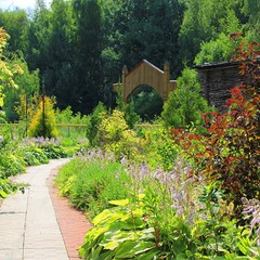 Спортивная база отдыха Княжьи Дали, Всходы, Московская область