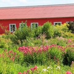 Спортивная база отдыха Княжьи Дали, Всходы, Московская область