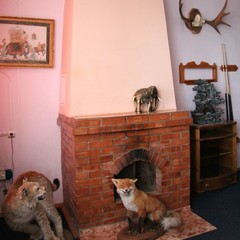 Спортивная база отдыха Княжьи Дали, Всходы, Московская область