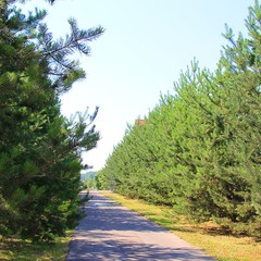 Спортивная база отдыха Княжьи Дали, Всходы, Московская область